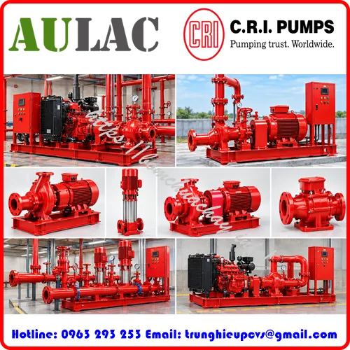 bom-bu-ap-pccc-chinh-hang-c-r-i-pumps-india
