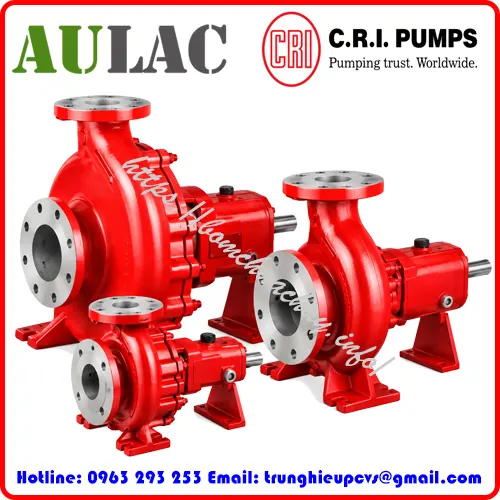 bom-ly-tam-c-r-i-pumps-chinh-hang-gia-uu-dai