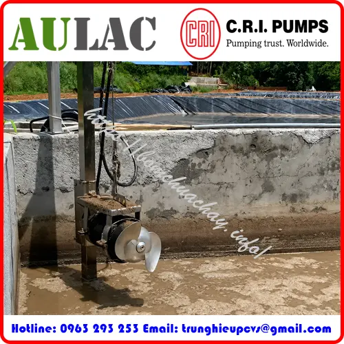 may-khuay-chim-c-r-i-pumps-md-rp12-t-4